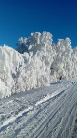 Жуменова Гульсара